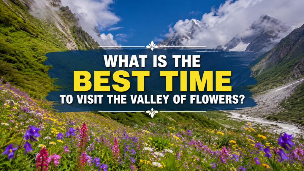 Best Time to Visit the Valley of Flowers